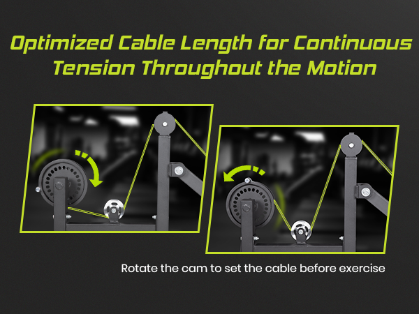 Lionscool Seated Curl Extension Machine LIONSCOOL
