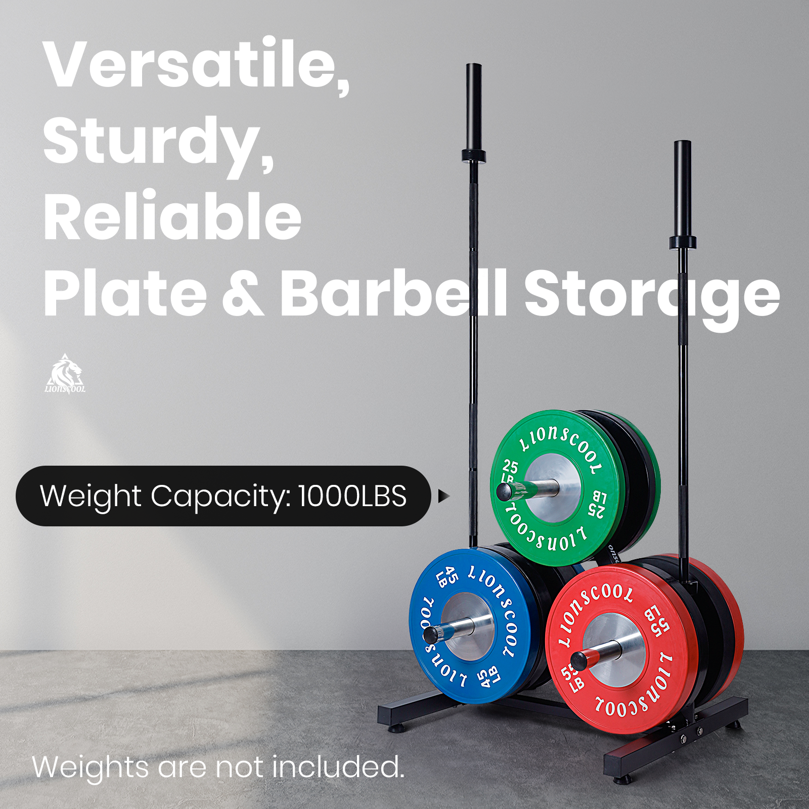 Olympic Weight Plate Tree Bumper Plate Storage Rack LIONSCOOL