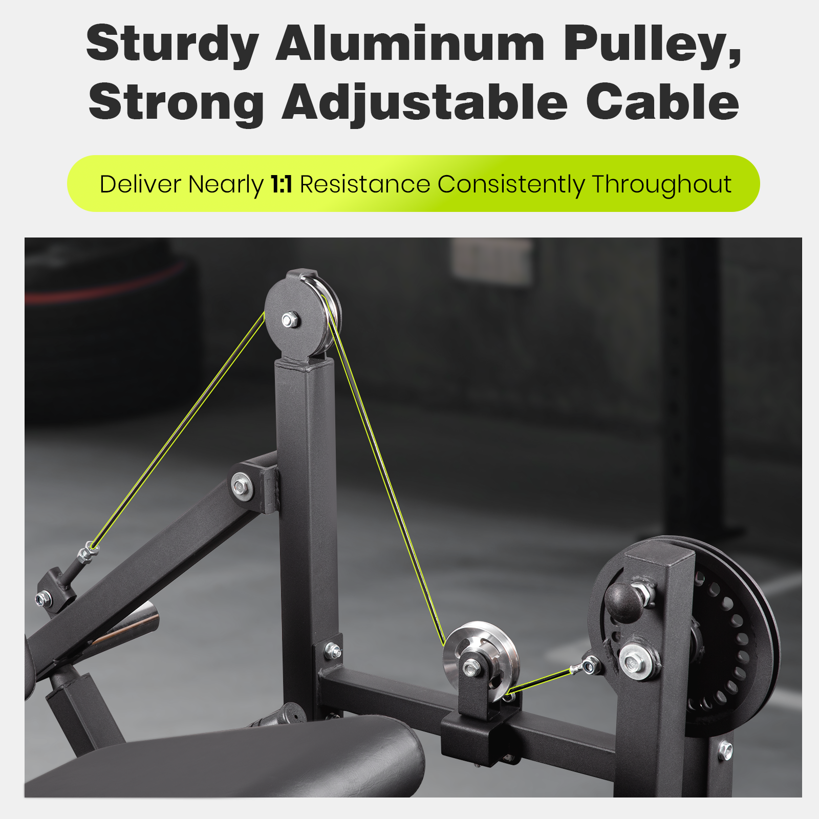 Lionscool Seated Curl Extension Machine LIONSCOOL