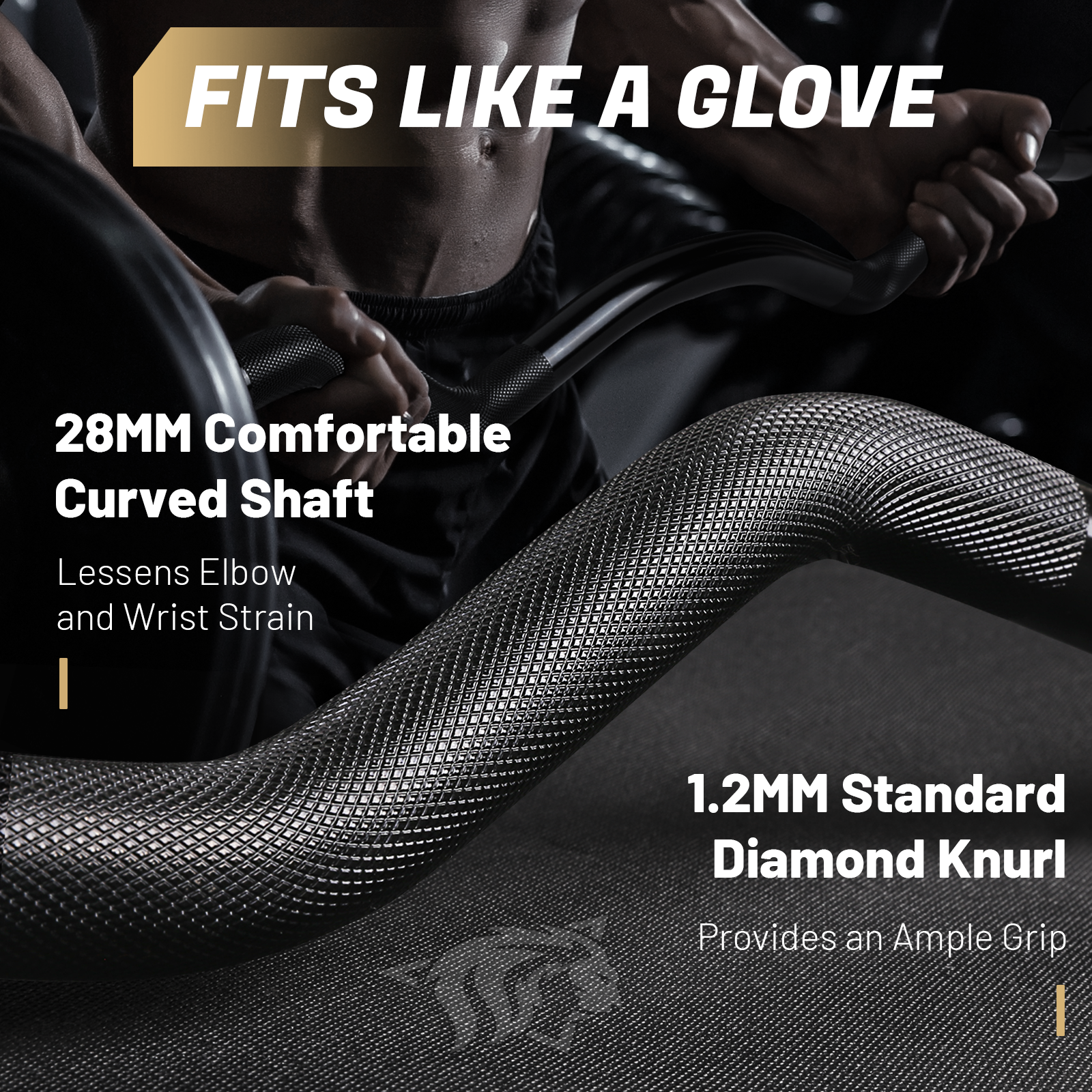 EZ Curl Bar - Gold LIONSCOOL