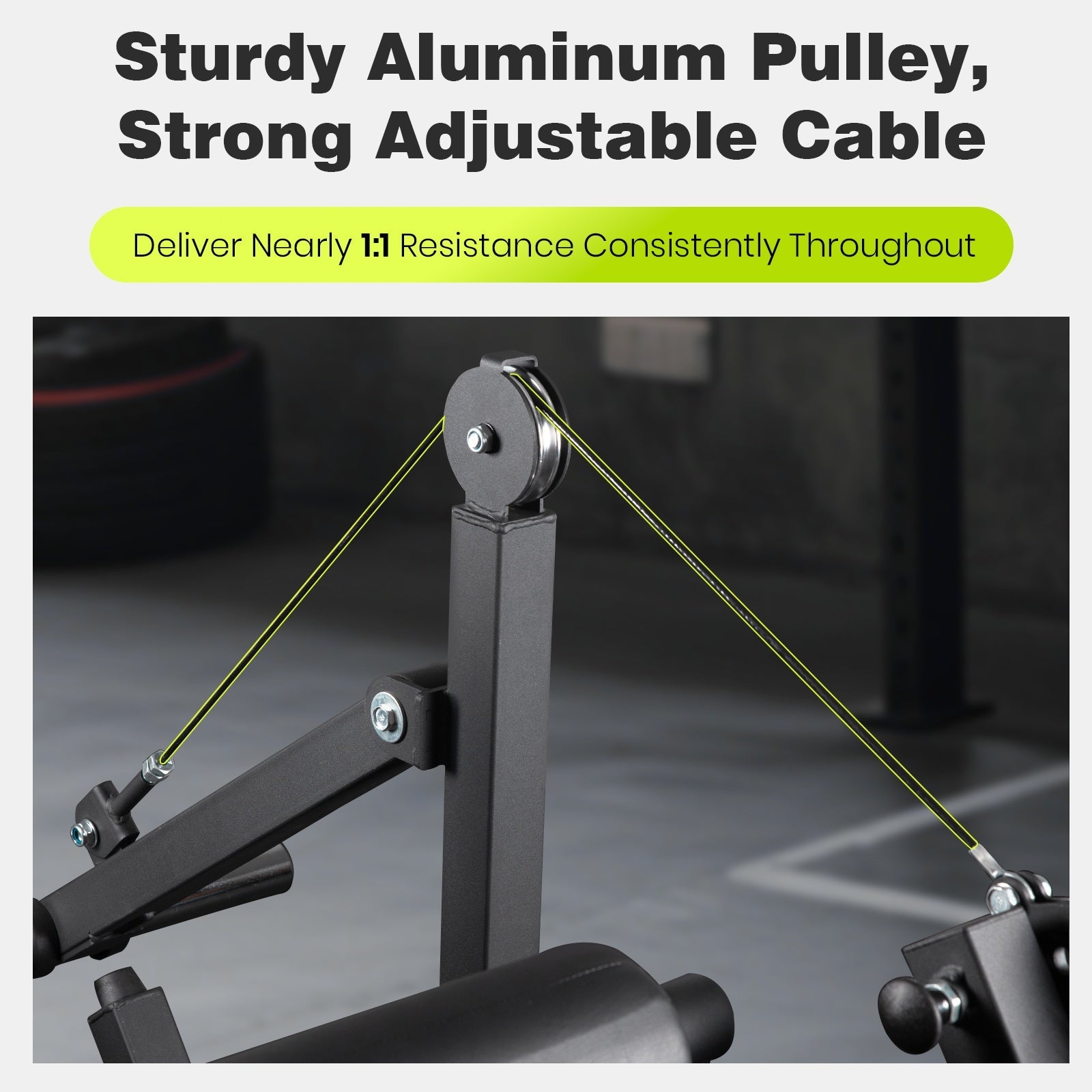 Lionscool Seated Curl Extension Machine LIONSCOOL