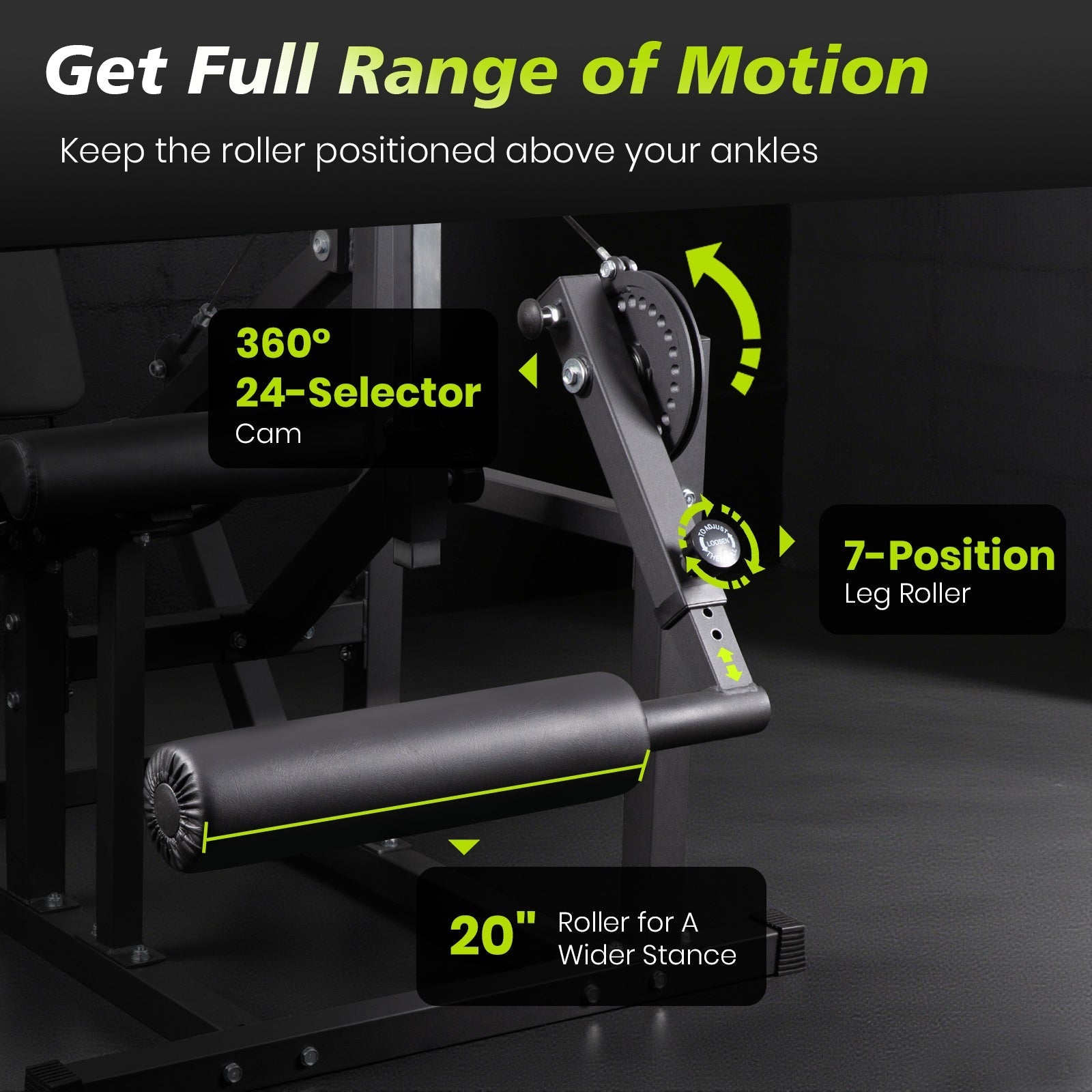 Lionscool Seated Curl Extension Machine LIONSCOOL