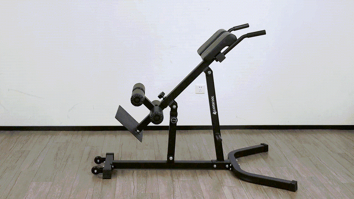 LIONSCOOL Roman Chair Back Extension Machine