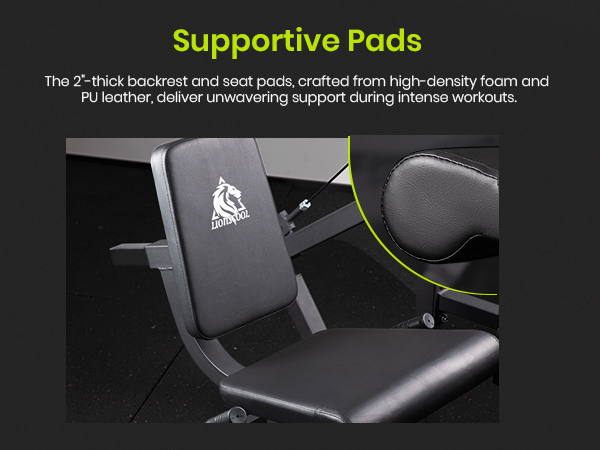 Lionscool Seated Curl Extension Machine LIONSCOOL