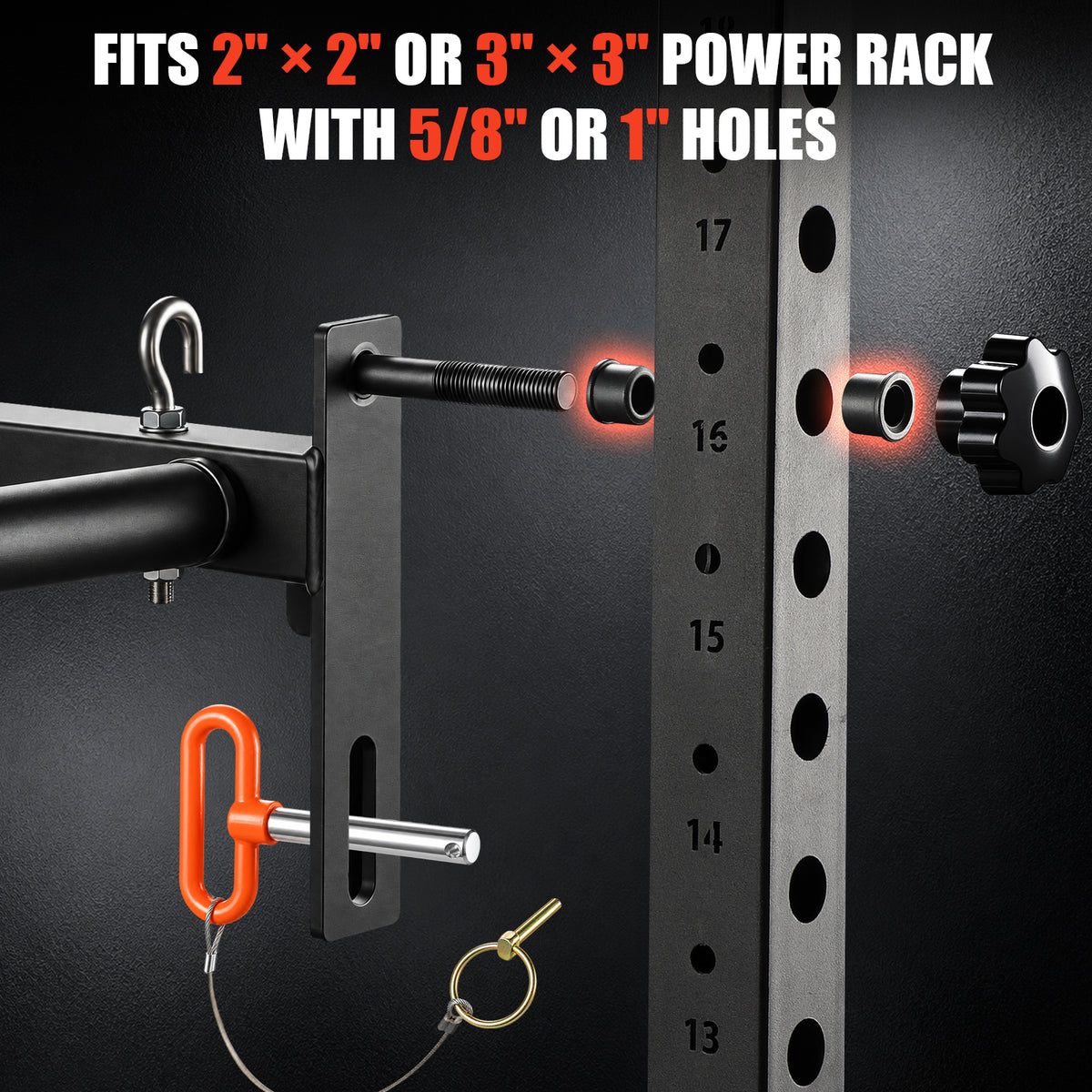LIONSCOOL Rack Mounted Forearm Strengthener, Wrist Roller with Grip Trainer LIONSCOOL