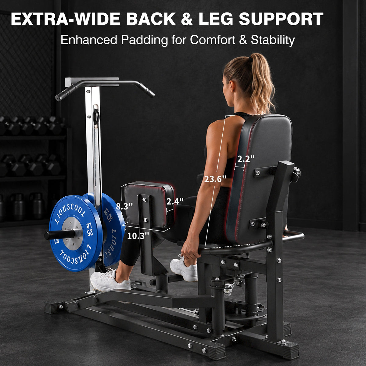 Lionscool Plate-Loaded Hip Abductor And Adductor Machine