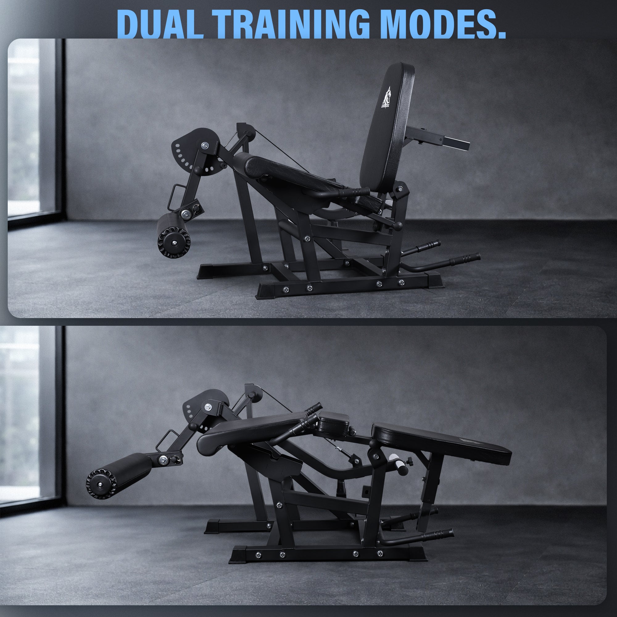LIONSCOOL Leg Extension and Curl Machine V4.0, Adjustable Seated
